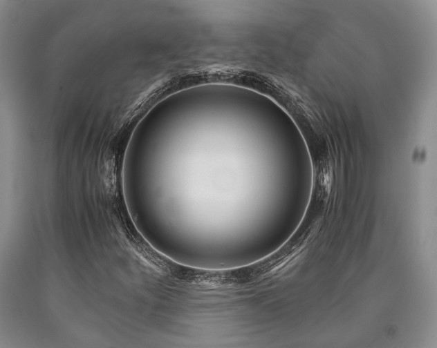 X0000090881252200707271304