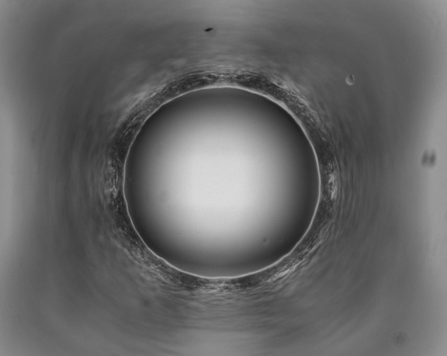 X0000090881253200707271304