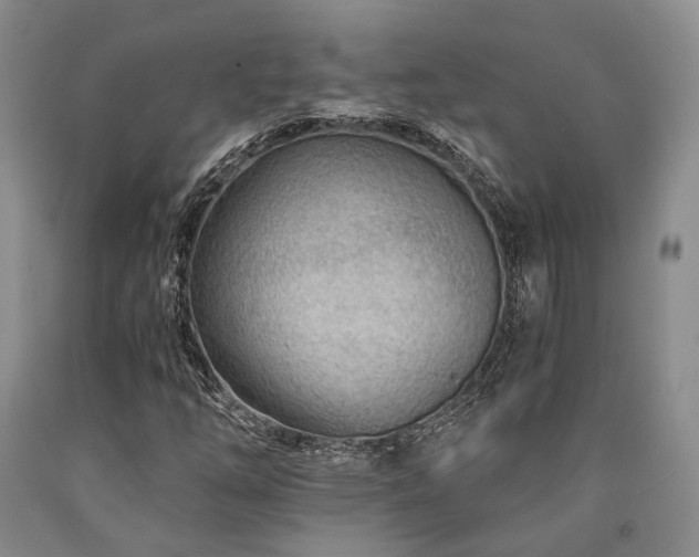 X0000090881254200707271304
