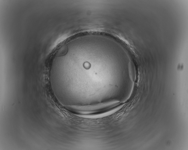 X0000090881255200707271304