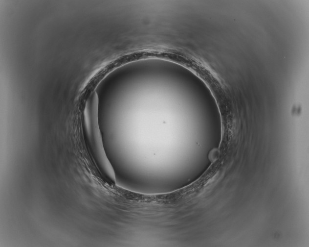 X0000090881256200707271304