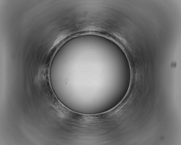 X0000090881258200707271304