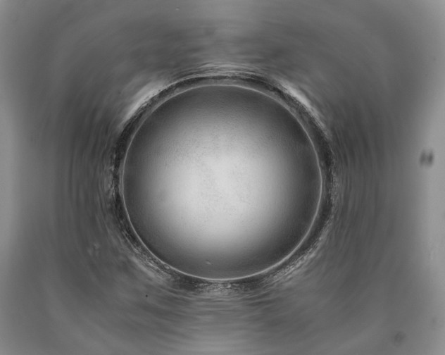 X0000090881259200707271304
