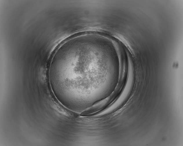 X0000090881260200707271304