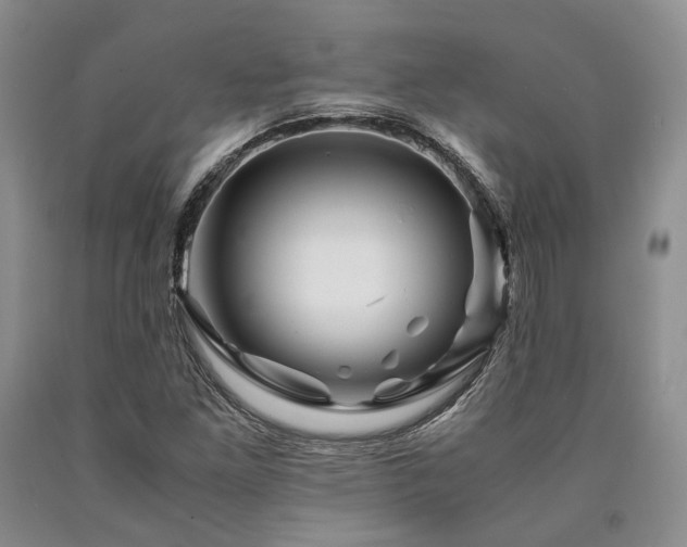 X0000090881261200707271304