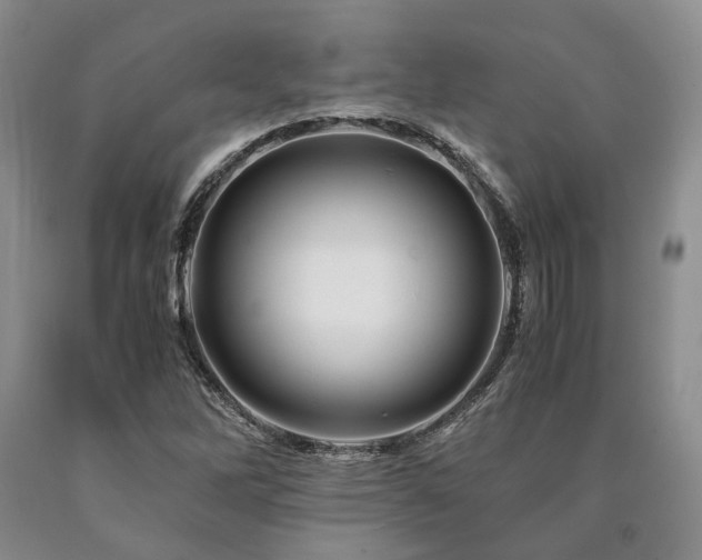 X0000090881262200707271304