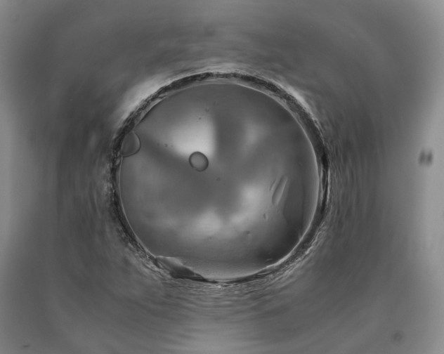 X0000090881263200707271304