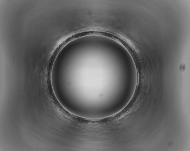 X0000090881264200707271304