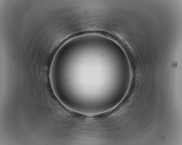 X0000090881265200707271304