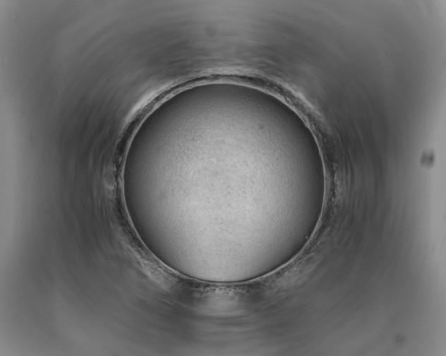 X0000090881266200707271304