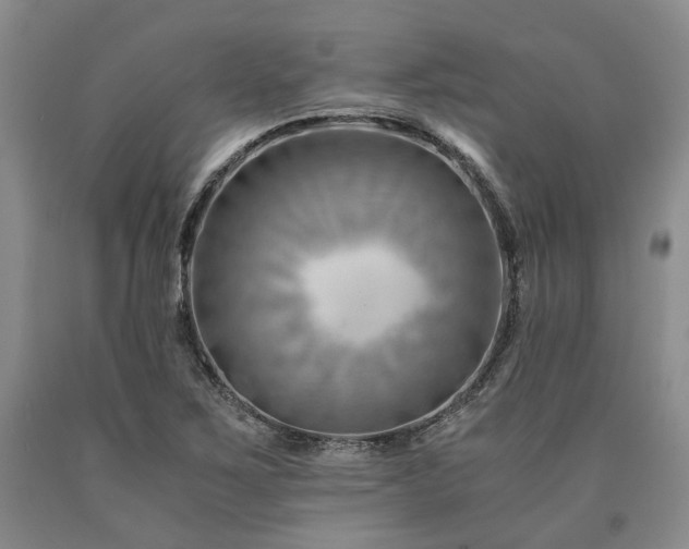 X0000090881267200707271304