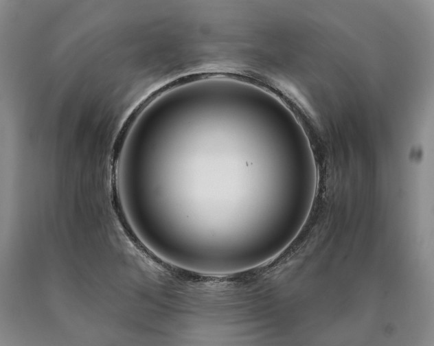 X0000090881268200707271304