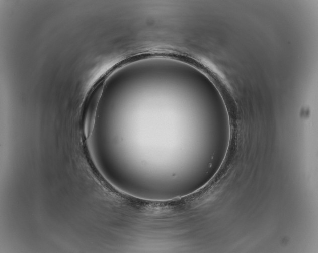 X0000090881269200707271304