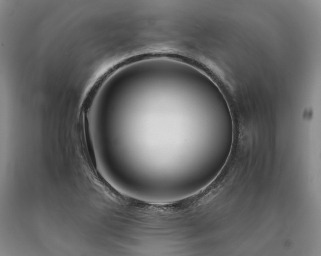 X0000090881270200707271304