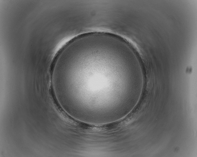 X0000090881271200707271304
