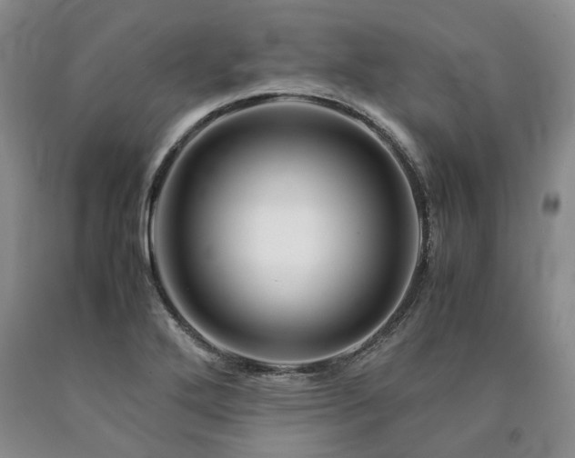 X0000090881272200707271304