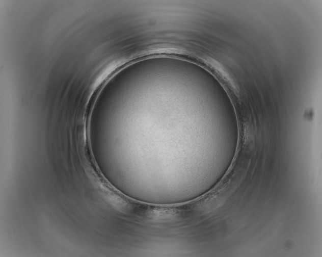 X0000090881274200707271304