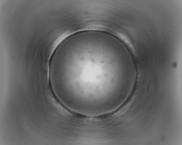 X0000090881275200707271304