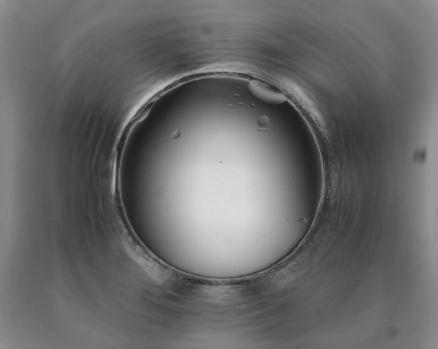 X0000090881276200707271304