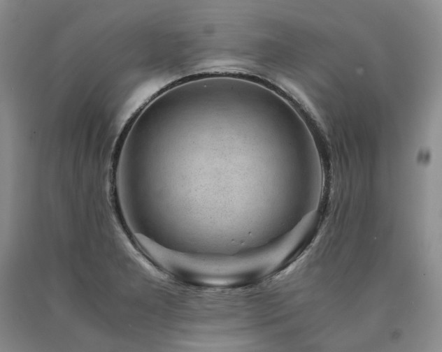 X0000090881277200707271304