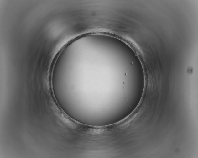 X0000090881278200707271304