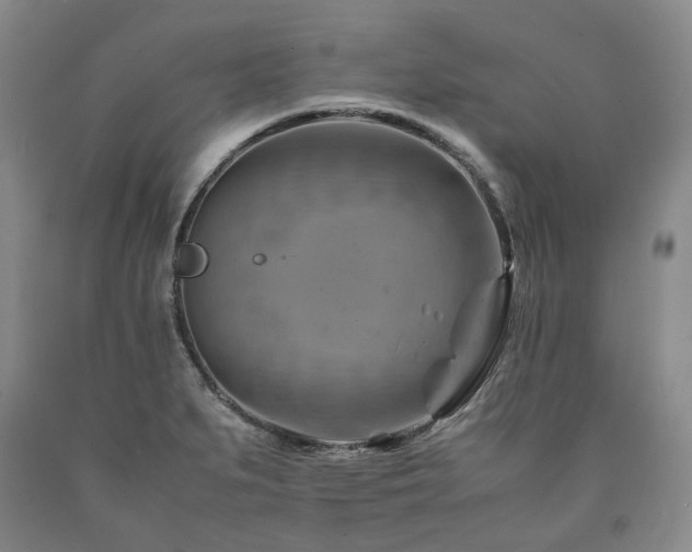 X0000090881279200707271304
