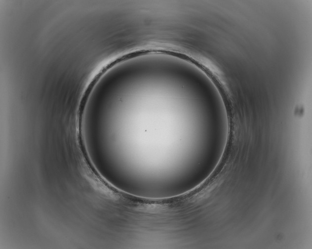X0000090881280200707271304