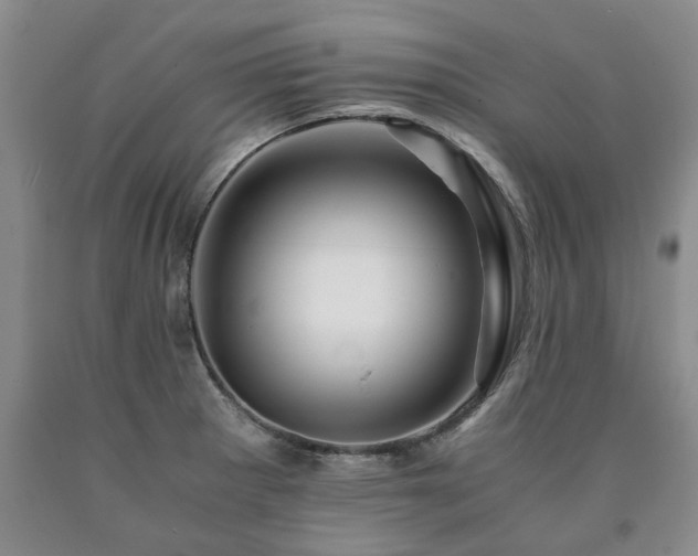 X0000090881281200707271304