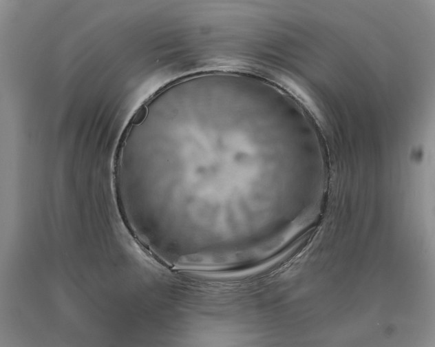 X0000090881283200707271304