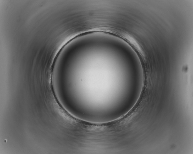X0000090881284200707271304