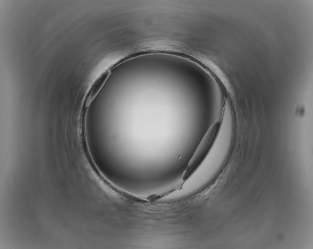 X0000090881285200707271304