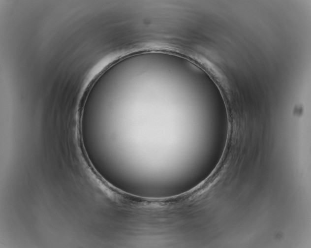 X0000090881286200707271304