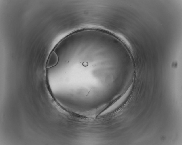 X0000090881287200707271304