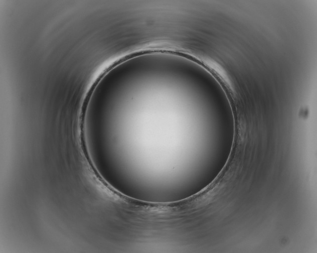 X0000090881288200707271304