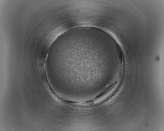 X0000090881289200707271304