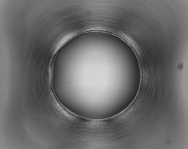 X0000090881290200707271304