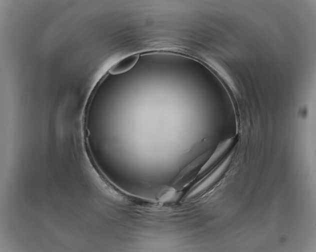 X0000090881291200707271304