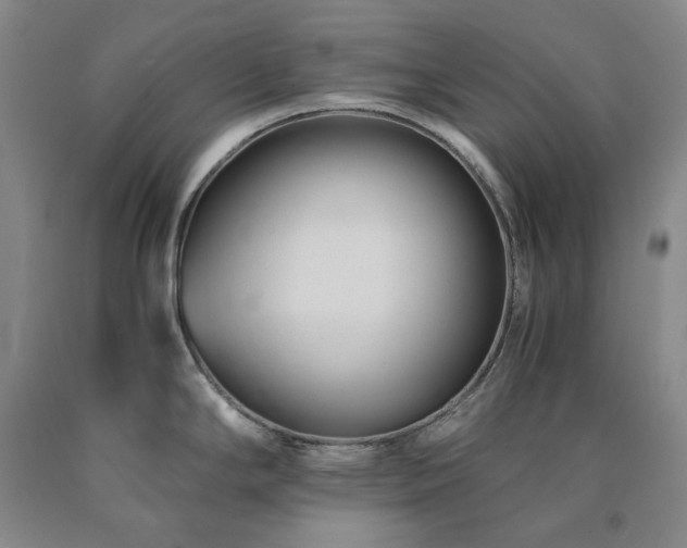 X0000090881294200707271304