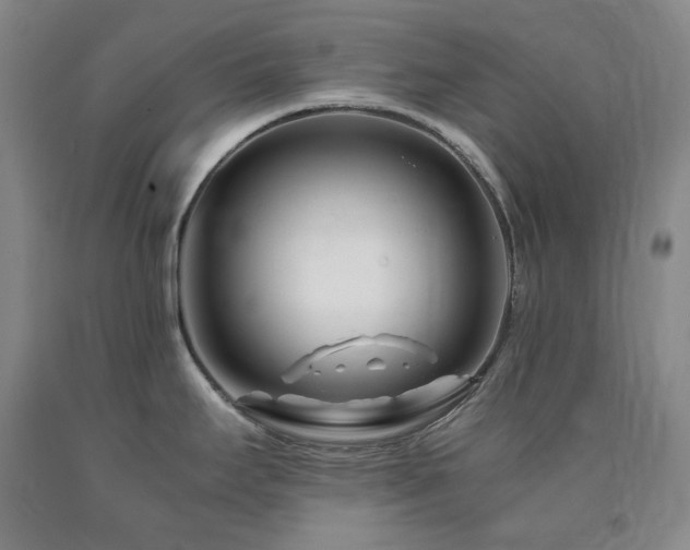 X0000090881295200707271304