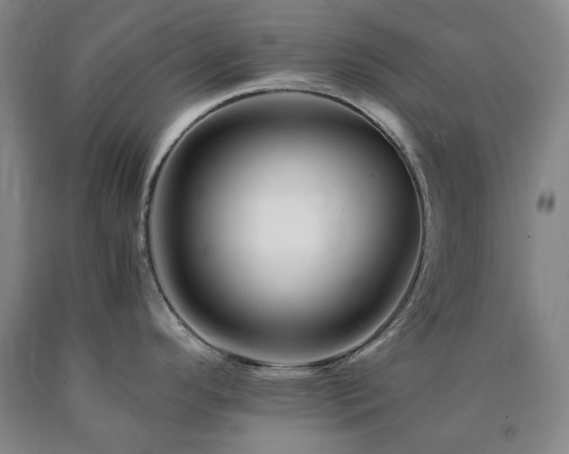 X0000090881296200707271304