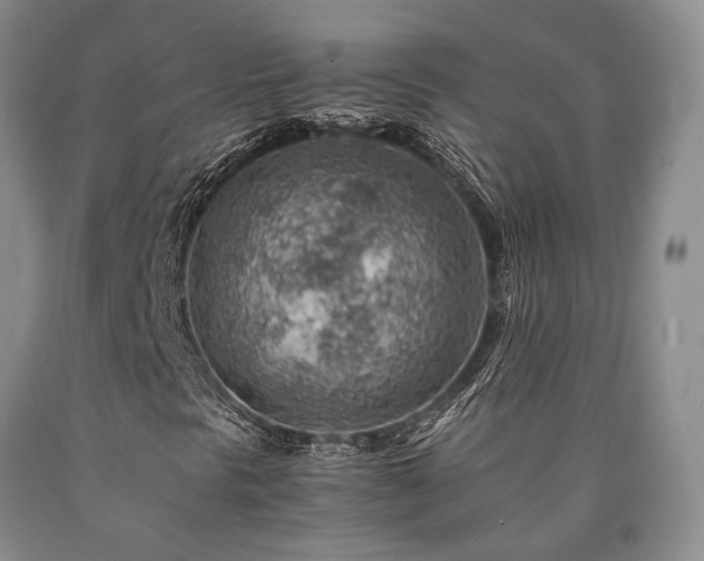 X0000090881297200707271303