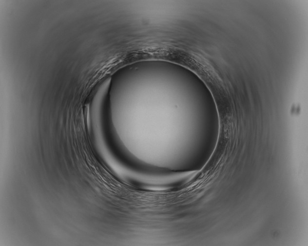 X0000090881298200707271303