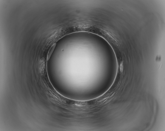 X0000090881299200707271303