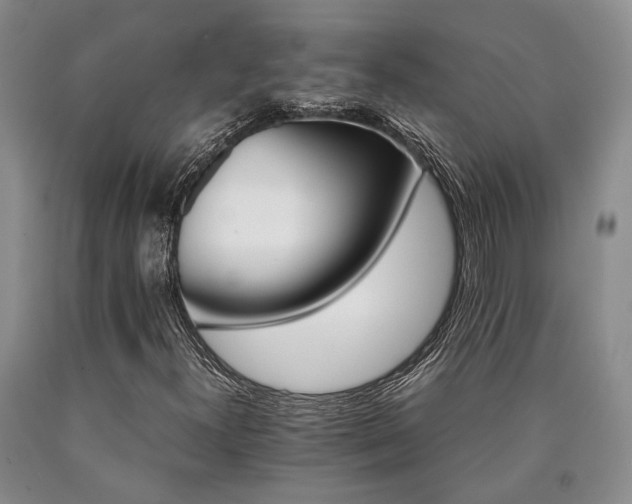 X0000090881300200707271303