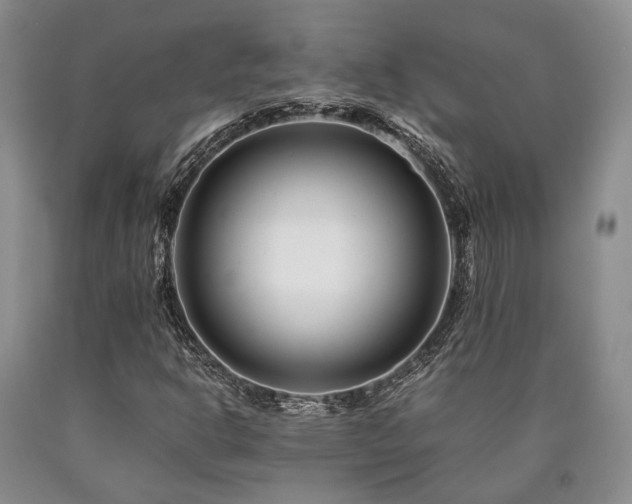 X0000090881302200707271303