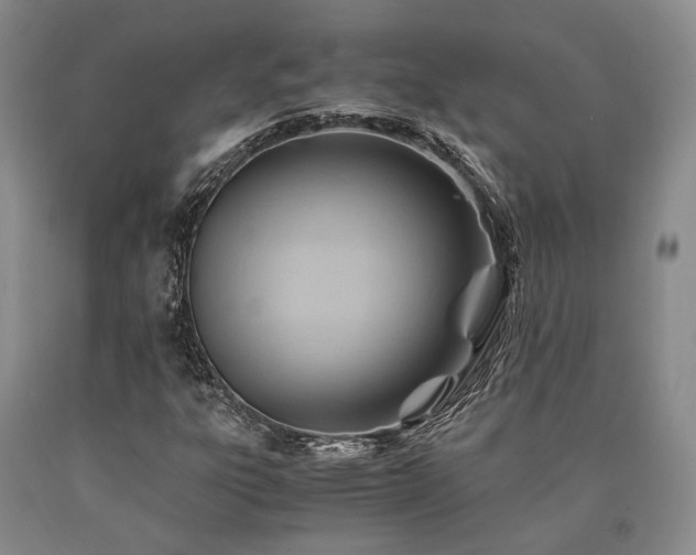 X0000090881303200707271303