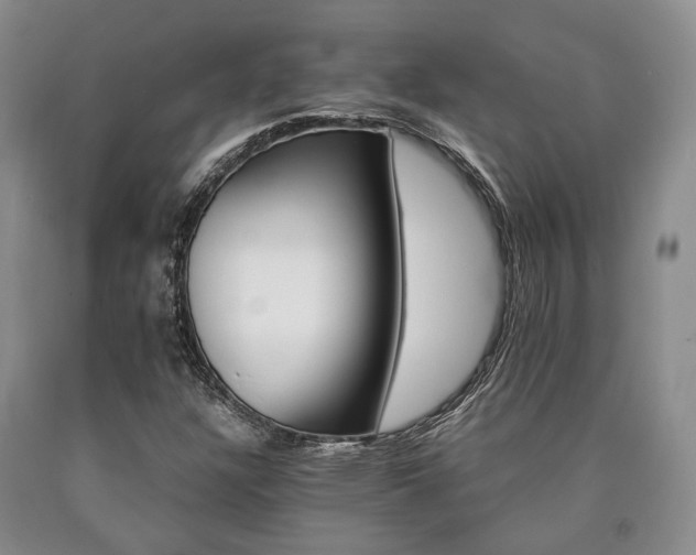 X0000090881304200707271303