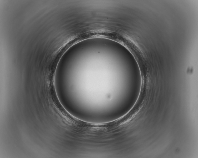 X0000090881305200707271303