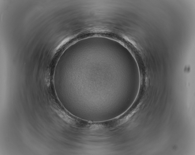 X0000090881306200707271303