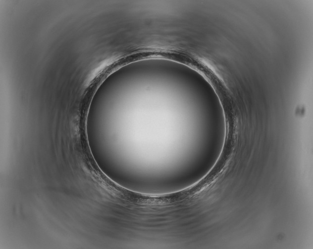 X0000090881307200707271303